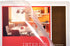 Lion Clear Project Folders with Index Pocket, 10 EA/Pack, 1 Pack (49120-CR)