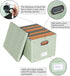 Oterri File Organizer Box with Lid - Portable Hanging File Box for Letter/Legal Storage, Green (1 Pack)