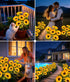 4Pack 24 IP65 LETMY Solar Lights Outdoor Garden Decor, Upgraded Solar Garden Lights with Sunflower Lights, Solar