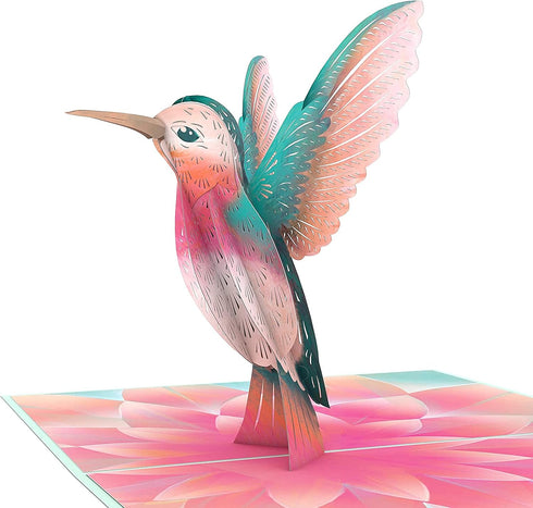Lovepop Everyday Pop-Up Card - 3D Love Greeting Card for Her, Him, Girls, Boys, Lovely Hummingbird, 5" x 7"