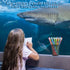 Geyee 36 Pcs Space Pencils for Kids, Assorted Shark Novelty Wood Pencils for Classroom Supplies
