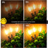 50FT Dimmable 27 Bulbs,Vintage DAMAING Outdoor String Lights Waterproof,LED Patio Lights with Bright Shatterproof Retro