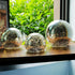 Lighted Mercury Glass Ball Table Lamp with Timer, Silver Cordless Orb, Battery Operated Sphere Glass Night Light for