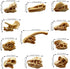 PPXMEEUDC 35PCS Dinosaur Fossil Skeleton Dinosaur Skeleton Toys Dino Sand Dig Party Favor Decorations