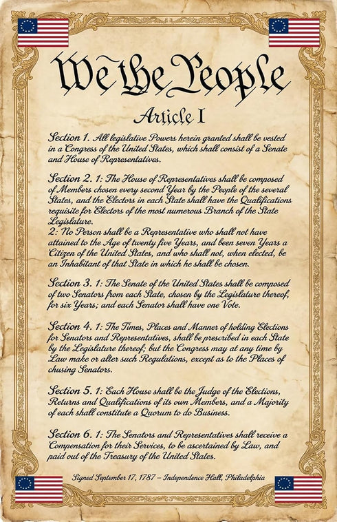 Set (4 Pack) Summary, 11x17 JELLY BEAN GENIUS Constitution Poster - Framers, Flag, Article I - Laminated - US History