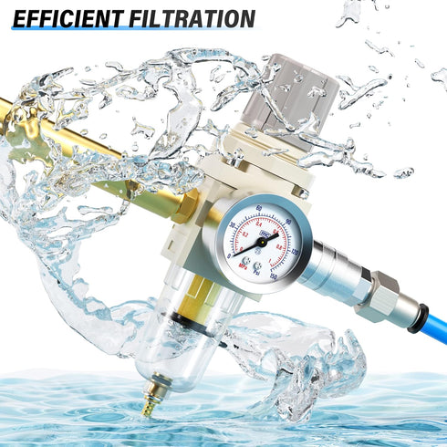 TAILONZ PNEUMATIC 1/4 Inch NPT Air Filter Pressure Regulator Combo, Air Tool Compressor Filter with Gauge AW2000-02