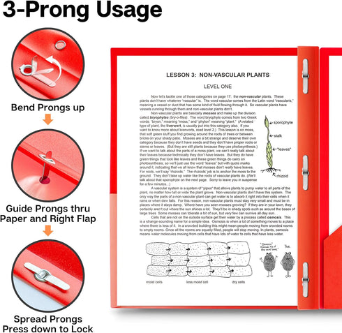 Dunwell Plastic 2-Pocket Folders with 3 Prongs, 2 Pack, Red, Durable Acid-Free Document Holder