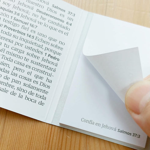 Spanish 24 Pads Testigos de Jehova Regalos, Jehovah Witness Bible Sticky Notes Accessories Gifts for JW.org