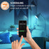 A19 Bulbs 2 Pack XTREME Energizer Connect Smart LED White & Multi-Color RGB Light with Voice Control and Remote Access