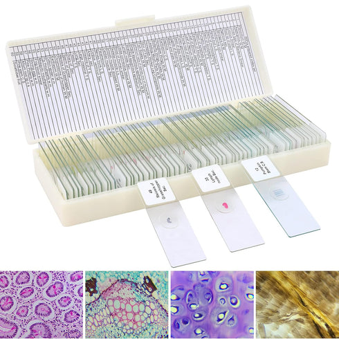 60 Microscope Slides with Specimens for Kids - Prepared Microscope Slides for Microbiology