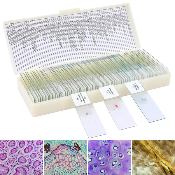 60 Microscope Slides with Specimens for Kids - Prepared Microscope Slides for Microbiology