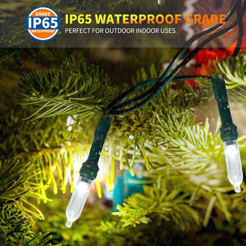 Tcamp Christmas Lights, 33ft 100LED Indoor Outdoor String Lights with Remote Timer, USB or Battery Powered Fairy Lights