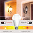 Bulbs, 13W(100W E26 3000K, Bulb Boundary-6 Pack Torkase Outdoor Dusk to Dawn Light Equivalent), Built-in Photocell