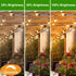 15 Pack Dimmable LED S14 Replacement Light Bulbs, 1W Vintage Edison, E26 Base, 2200K Warm White