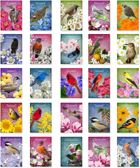 US STATE BIRDS AND FLOWERS Set of 50 Postcards | United States Bird and Flower Symbols Variety Pack | Made in USA