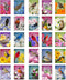 US STATE BIRDS AND FLOWERS Set of 50 Postcards | United States Bird and Flower Symbols Variety Pack | Made in USA