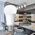 LED Light Bulbs Daylight 15W: 1600Lm 100W Equivalent LED Bulbs E26 Edison Screw Base Super Bright 5000K LED Bulb A19 15W Light Bulbs for Indoor Outdoor Bedroom Storage Basement 2 Pack by U4GLORY