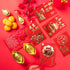 Chinese Hong Bao, 5 * 3.1 inch Greetings Money Lucky Red Envelopes for Chinese New Year, Birthday, Spring Festival