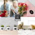 Chalkboard Labels for Jars, 162pcs Waterproof Reusable Stickers with Erasable Liquid Chalk Marker