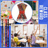 Sherr 36 Pcs Back to School Pencils, Holiday Pencils Bulk for Kids, First Day School Pencils