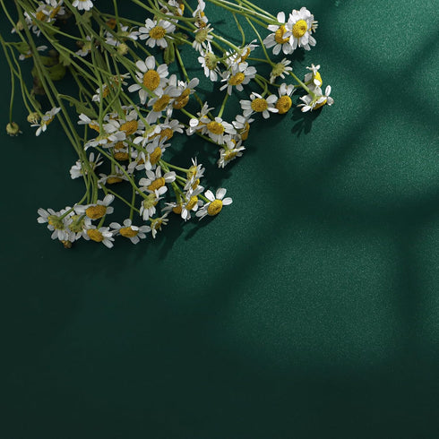 Green Peel and Stick Wallpaper, Solid Green Contact Paper 15.7"x118.1", Self Adhesive Removable for Cabinets and