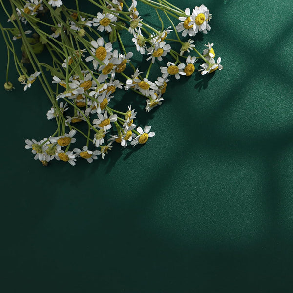 Green Peel and Stick Wallpaper, Solid Green Contact Paper 15.7"x118.1", Self Adhesive Removable for Cabinets and