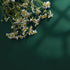 Green Peel and Stick Wallpaper, Solid Green Contact Paper 15.7"x118.1", Self Adhesive Removable for Cabinets and
