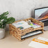 BTSKY 2 Tier Water Hyacinth Letter File Storage Basket, Woven Paper Organizer Tray for Desk Document and Office Paper