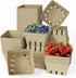 LOUHUA 60 Pcs Natural Pulp Fiber Berry Basket, Small Molded Produce Basket