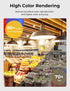 300 Watt Equivalent Light Bulb, 33W Super Bright Garage Light Bulb, A23 LED E26 Warm White - 2-Pack