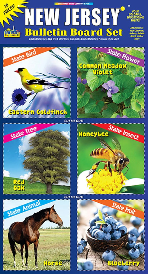 Gallopade Publishing Group New Jersey Bulletin Board Set