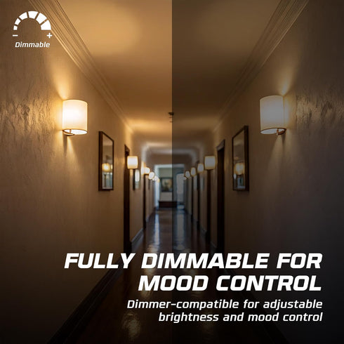 60W Bulbs (6-Pack) 60 T10 Bulb, E26 120V, 2700K, Dimmable OHLECTRIC Incandescent Light Watt Tubular Clear Glass, Medium