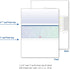 DocuGard Blue/Green Prismatic Middle Check - 8.5 x 11 Inches, 24 lb, 500 Sheets, 1 Check Per Sheet