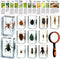 GlikCeil 12 Pcs Insect in Resin Specimen Bugs Discovery Kit Collection Paperweight Bug