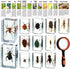 GlikCeil 12 Pcs Insect in Resin Specimen Bugs Discovery Kit Collection Paperweight Bug