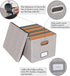 Oterri File Organizer Box, Filing Box with Lid, Portable Hanging File Box for Letter/Legal Storage, Gray