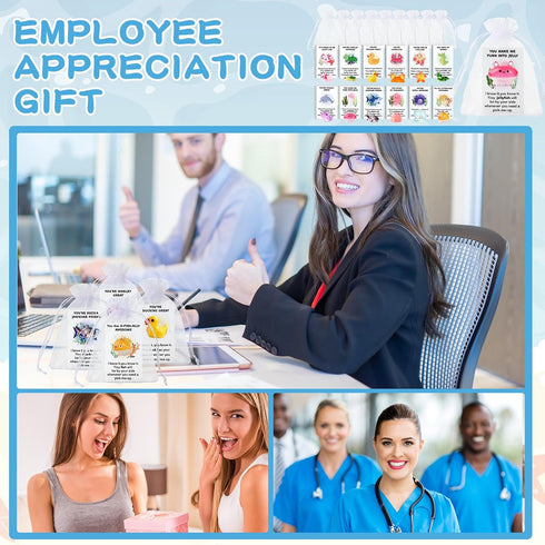 Briwooody 120 Set Pcs Employee Appreciation Gifts Bulk for Coworkers Teachers End of Year Presents Resin Toys Pun