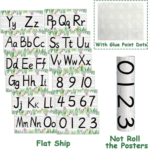 gisgfim 12 Pieces Cactus Alphabet Bulletin Board Strips Set, ABC Alphabet Banner & Number Border for Classroom,