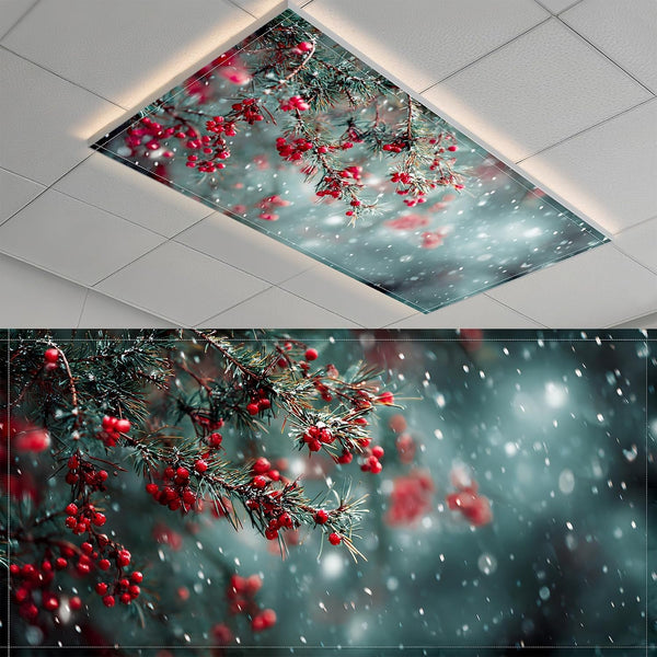 2 Pack Fluorescent Light Covers- 4 x 2 Feet Magnetic Ceiling Light