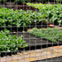 2 13.7 40 Inches SATINIOR Sheets x Chicken Wire Fence Wire Mesh Roll Hardware Cloth Small Galvanized Welded Metal Cage