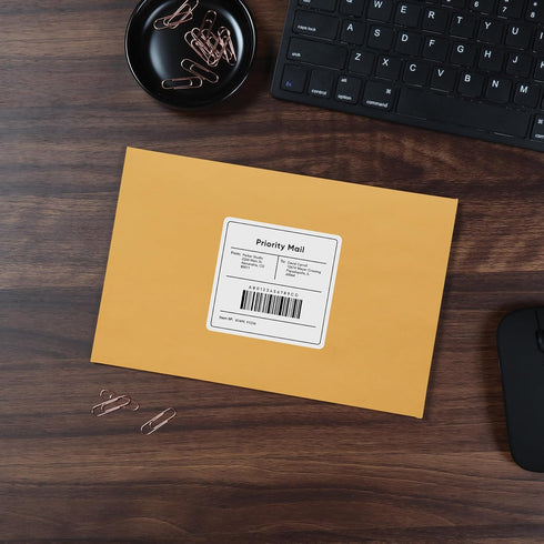 Quality Park 6 x 9 Clasp Envelopes, 100 per Box, Kraft Paper with Clasp and Gummed Closures