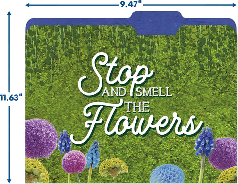 Eureka Curiosity Garden File Folders for School, 9" x 11.5", 4 Pieces for Students and Teachers
