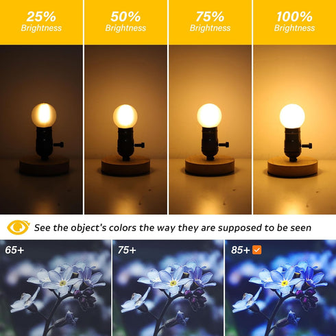 Dimmable E26 G16.5 Bulb 40W 4W Bulbs,Small Bulbs Bulb 2700K 400LM,Pack 2 LED Light Equal Frosted Globe Light Round