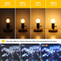 Dimmable E26 G16.5 Bulb 40W 4W Bulbs,Small Bulbs Bulb 2700K 400LM,Pack 2 LED Light Equal Frosted Globe Light Round