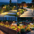 2 Pack 2X 12Hrs LETMY Solar Pathway Lights Outdoor, Brighter Solar Lights Outdoor Waterproof, Taller Pathway Light