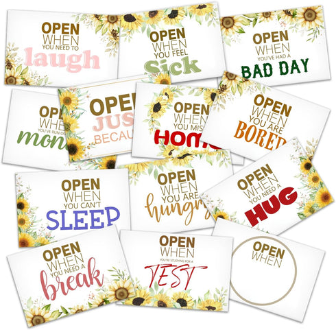 Open When You Letters Kit, Envelopes with Sunflower, Handmade Gift for University Students, Leaving Home Present