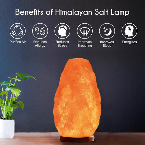 Dimmer Bulb 6-8 LBS, 1001 WBM LLC Himalayan Glow Natural Pink Salt Lamp, Crystal Salt Lamp Night Light with (ETL
