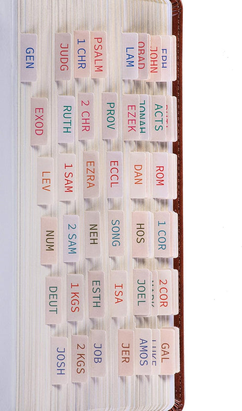 DiverseBee Laminated Bible Tabs, Large Print Easy to Apply Bible Index Tabs for Old and New Testament, 72 Tabs