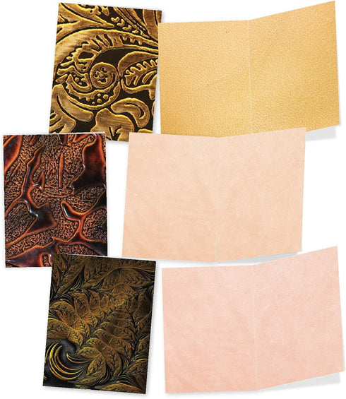 The Best Card Company, 10 Colorful Blank Note Cards with Envelopes, Assorted Boxed Set, 4 x 5.12 Inch
