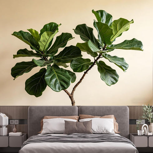 Agglomerix Custom Size Wall Murals Fiddle Leaf Fig Botanical Minimalist Green Leaves SelfAdhesive Wall Fabric Removable
